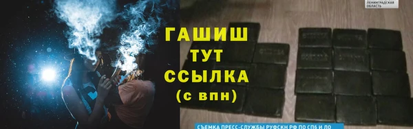 стафф Арсеньев