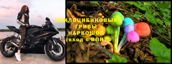спиды Алексин