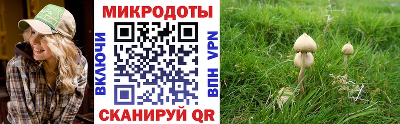 Псилоцибиновые грибы Cubensis  Бузулук 